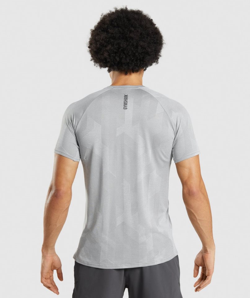 Men's Gymshark Apex T-Shirts Light Grey | NZ 7CVHJX